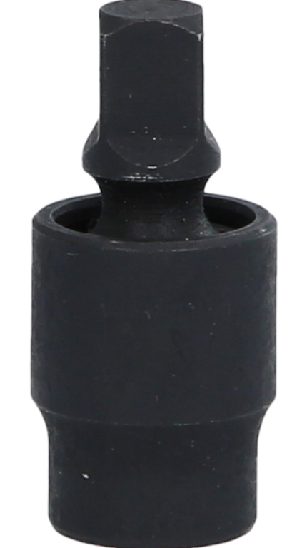 zo-th-1